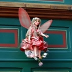 Harry House Photo 23