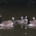 John Weatherly Photo 12