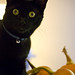 Carol Browne Photo 42