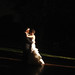 Joshua Blankenship Photo 34