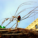 Brenda Feathers Photo 9
