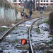 Lisa Noll Photo 18