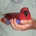 Eileen Bird Photo 27