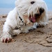 Roger Carns Photo 6