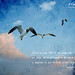 Timothy Free Photo 9