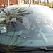 Sandy Harris Photo 14