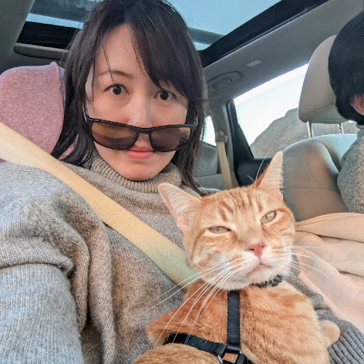 Ellen Lin Photo 17