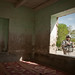 Donald Lowery Photo 15