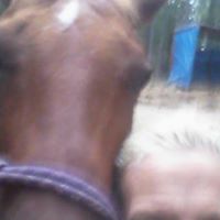 Julie Latham Photo 10