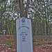 William Carr Photo 28
