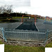 Lee Woodall Photo 16