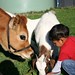 Shailesh Patel Photo 23