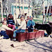 Sherrie Friend Photo 6