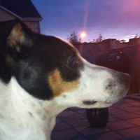 Belle Roberts Photo 9