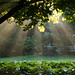 Ray Conlon Photo 8