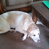 Mary Childers Photo 19