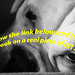 Judy Link Photo 32
