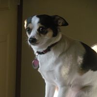 Susan Shuler Photo 9