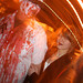 Sonya Jackson Photo 27