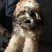 Edwin David Photo 13