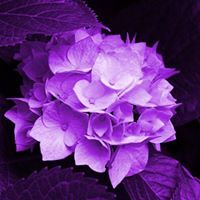 Debra Fennell Photo 7