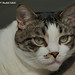 Elizabeth Echols Photo 16