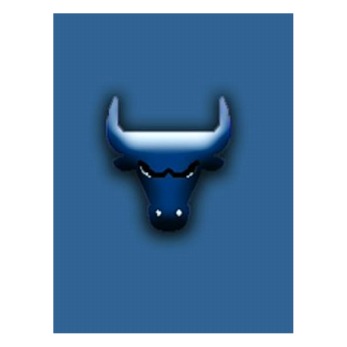 Stephen Bull Photo 5