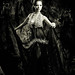 Dzung Dinh Photo 11