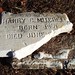 Harry Mitchell Photo 37