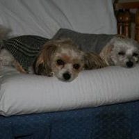 Jenny Moffitt Photo 7