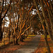 Shelley Akers Photo 17