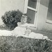 Linda Bradshaw Photo 29