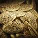Mike Sprinkle Photo 22