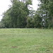 Lorraine Hedges Photo 13