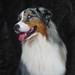 Shelly Murry Photo 4