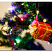 Merry Marks Photo 11