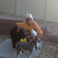 Michelle Agnew Photo 36