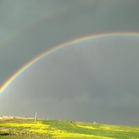 Doug Allison Photo 12