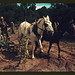 Jim Norris Photo 34
