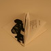 Joyce Shaw Photo 14