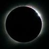 Matthew Levitt Photo 27