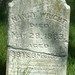 Nancy Wright Photo 32