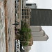 Dan Piotrowski Photo 3