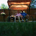Noreen Sharp Photo 7