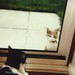 Minnie Bailey Photo 8