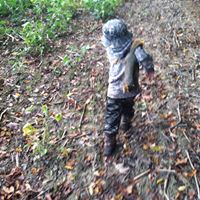 Stacey Everett Photo 28