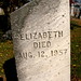 Jerry Fitzpatrick Photo 20