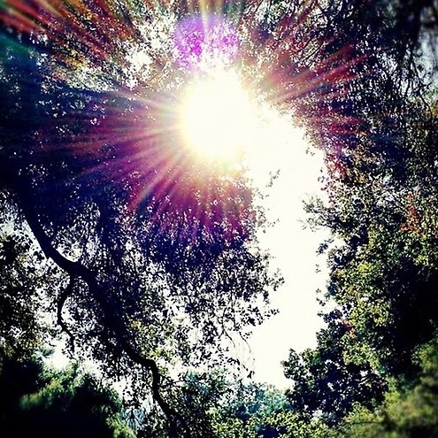 Andy Sanabria Photo 4
