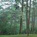 John Hay Photo 12