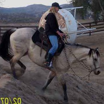 Debbie Skinner Photo 35